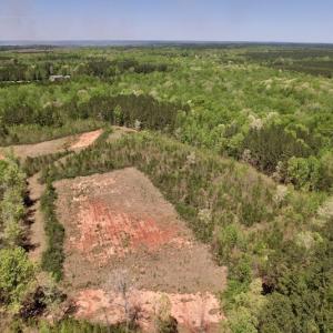 Photo #6 of SOLD property in Off Taylor’s Store Road , Nashville, NC 21.2 acres