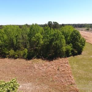 Photo #3 of SOLD property in Off Mcquage Farm Road, Bennettsville, SC 2.1 acres