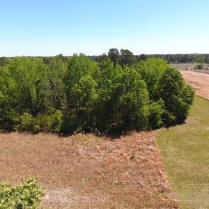 Photo #3 of SOLD property in Off Mcquage Farm Road, Bennettsville, SC 2.1 acres