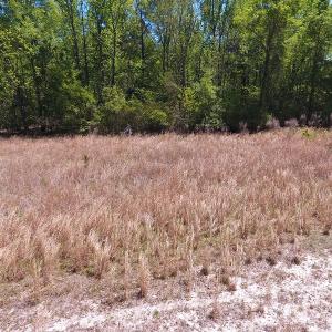 Photo #5 of SOLD property in Off Mcquage Farm Road, Bennettsville, SC 2.1 acres