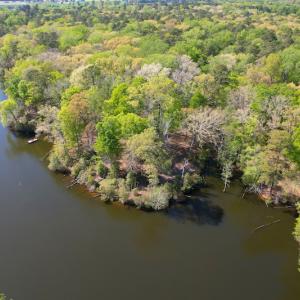 Photo #10 of Off Murphy Mill Road, Windsor, VA 48.8 acres