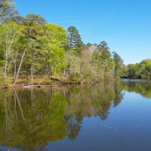 Photo #12 of Off Murphy Mill Road, Windsor, VA 48.8 acres