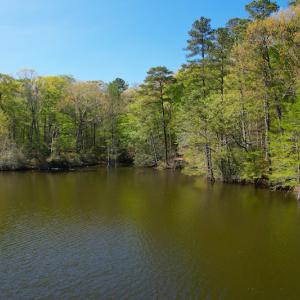 Photo #13 of Off Murphy Mill Road, Windsor, VA 48.8 acres