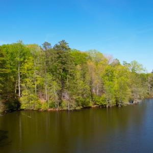 Photo #14 of Off Murphy Mill Road, Windsor, VA 48.8 acres