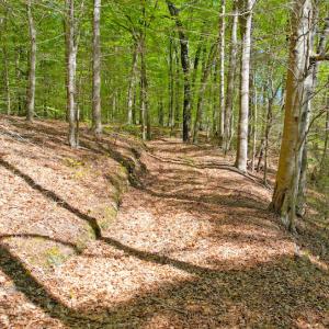 Photo #15 of Off Murphy Mill Road, Windsor, VA 48.8 acres