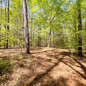 Photo #16 of Off Murphy Mill Road, Windsor, VA 48.8 acres