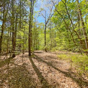 Photo #17 of Off Murphy Mill Road, Windsor, VA 48.8 acres