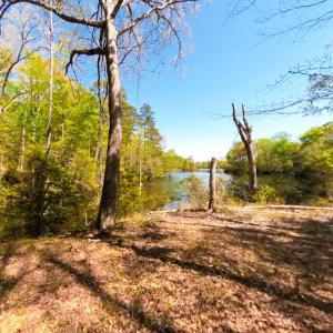 Photo #18 of Off Murphy Mill Road, Windsor, VA 48.8 acres