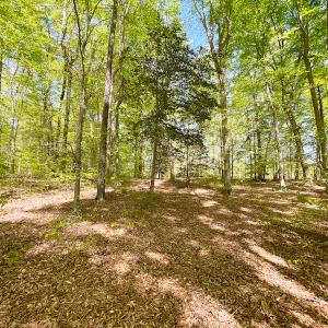 Photo #19 of Off Murphy Mill Road, Windsor, VA 48.8 acres