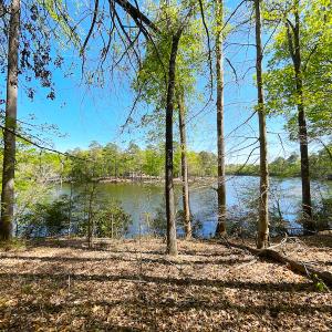 Photo #21 of Off Murphy Mill Road, Windsor, VA 48.8 acres