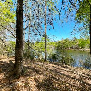 Photo #22 of Off Murphy Mill Road, Windsor, VA 48.8 acres