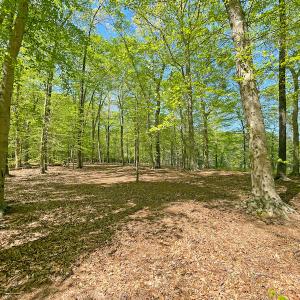 Photo #24 of Off Murphy Mill Road, Windsor, VA 48.8 acres