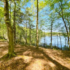 Photo #25 of Off Murphy Mill Road, Windsor, VA 48.8 acres