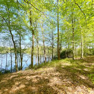 Photo #26 of Off Murphy Mill Road, Windsor, VA 48.8 acres