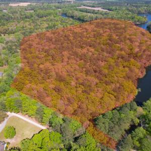 Photo #4 of Off Murphy Mill Road, Windsor, VA 48.8 acres