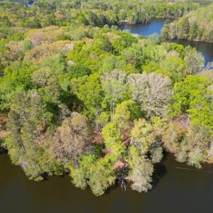 Photo #8 of Off Murphy Mill Road, Windsor, VA 48.8 acres