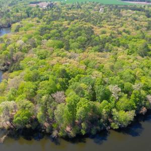 Photo #9 of Off Murphy Mill Road, Windsor, VA 48.8 acres