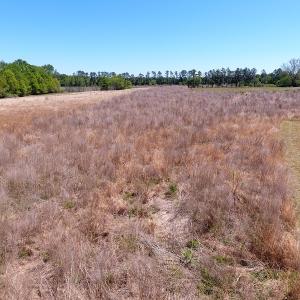 Photo #4 of SOLD property in Off Mcquage Farm Road, Bennettsville, SC 2.0 acres