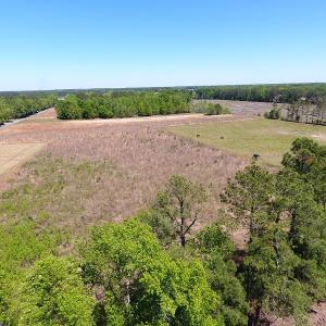 Photo #3 of SOLD property in Off Hebron Dunbar Rd, Bennettsville, SC 4.9 acres