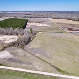 Photo #9 of SOLD property in Off Alvin Road , Grimesland, NC 46.6 acres