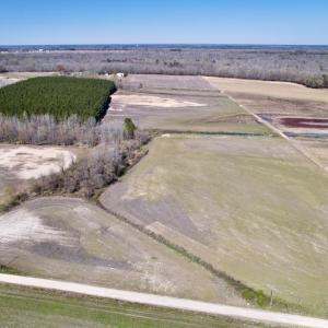 Photo #9 of SOLD property in Off Alvin Road , Grimesland, NC 46.6 acres