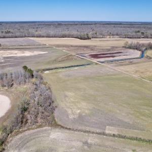 Photo #10 of SOLD property in Off Alvin Road , Grimesland, NC 46.6 acres