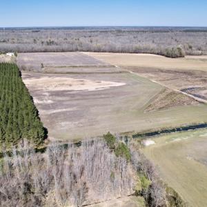 Photo #11 of SOLD property in Off Alvin Road , Grimesland, NC 46.6 acres