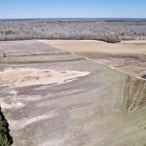 Photo #12 of SOLD property in Off Alvin Road , Grimesland, NC 46.6 acres