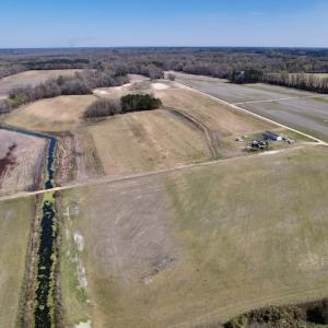 Photo #13 of SOLD property in Off Alvin Road , Grimesland, NC 46.6 acres