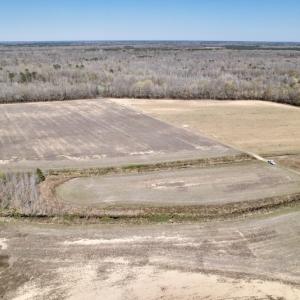 Photo #14 of SOLD property in Off Alvin Road , Grimesland, NC 46.6 acres