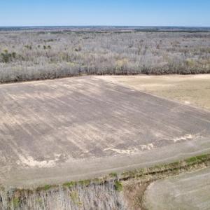 Photo #15 of SOLD property in Off Alvin Road , Grimesland, NC 46.6 acres