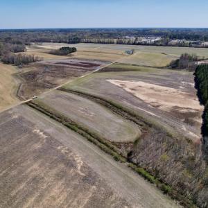 Photo #16 of SOLD property in Off Alvin Road , Grimesland, NC 46.6 acres