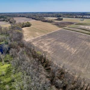 Photo #17 of SOLD property in Off Alvin Road , Grimesland, NC 46.6 acres
