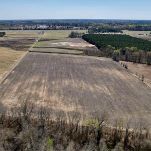 Photo #18 of SOLD property in Off Alvin Road , Grimesland, NC 46.6 acres