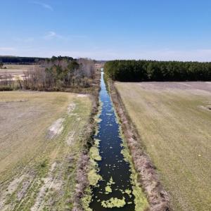 Photo #23 of SOLD property in Off Alvin Road , Grimesland, NC 46.6 acres