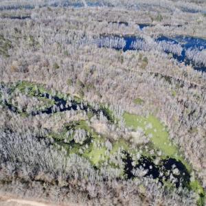 Photo #26 of SOLD property in Off Alvin Road , Grimesland, NC 46.6 acres