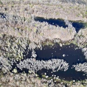 Photo #28 of SOLD property in Off Alvin Road , Grimesland, NC 46.6 acres