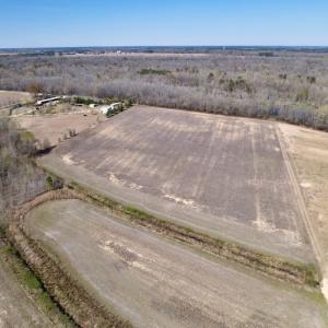 Photo #2 of SOLD property in Off Alvin Road , Grimesland, NC 46.6 acres