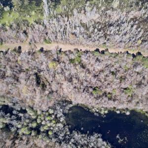 Photo #29 of SOLD property in Off Alvin Road , Grimesland, NC 46.6 acres