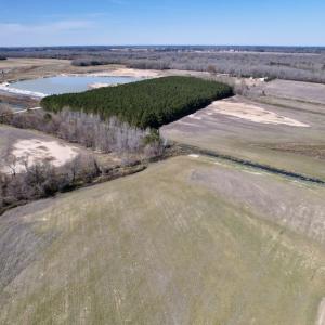 Photo #6 of SOLD property in Off Alvin Road , Grimesland, NC 46.6 acres