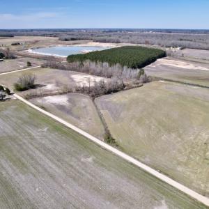 Photo #7 of SOLD property in Off Alvin Road , Grimesland, NC 46.6 acres