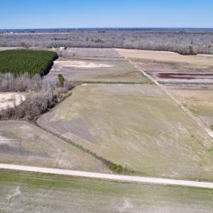 Photo #8 of SOLD property in Off Alvin Road , Grimesland, NC 46.6 acres