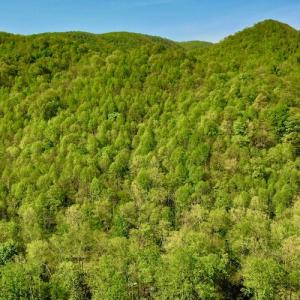 Photo #2 of SOLD property in Off Runnett Bag Rd, Ferrum, VA 57.0 acres