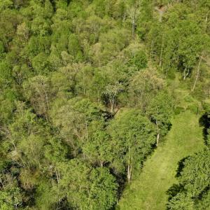 Photo #3 of SOLD property in Off Runnett Bag Rd, Ferrum, VA 57.0 acres