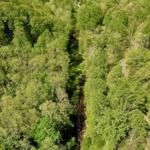 Photo #4 of SOLD property in Off Runnett Bag Rd, Ferrum, VA 57.0 acres