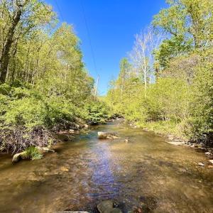 Photo #16 of SOLD property in Off Runnett Bag Rd, Ferrum, VA 57.0 acres