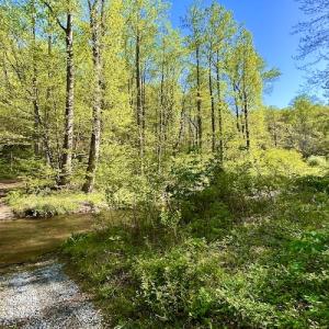 Photo #17 of SOLD property in Off Runnett Bag Rd, Ferrum, VA 57.0 acres