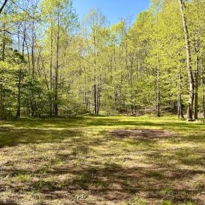 Photo #19 of SOLD property in Off Runnett Bag Rd, Ferrum, VA 57.0 acres