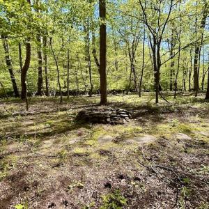 Photo #27 of SOLD property in Off Runnett Bag Rd, Ferrum, VA 57.0 acres