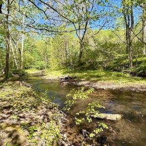 Photo #28 of SOLD property in Off Runnett Bag Rd, Ferrum, VA 57.0 acres